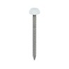 30 x 2.1 Polymer Headed Pins - A4 Stainless Steel - White