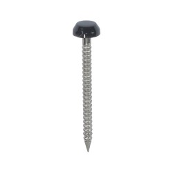 30 x 2.1 Polymer Headed Pins - A4 Stainless Steel - Anthracite Grey
