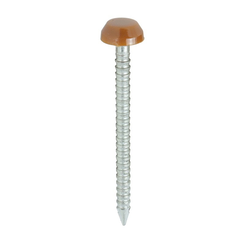 30 x 2.1 Polymer Headed Pins - A4 Stainless Steel - Clay Brown