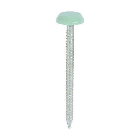 50 x 3.2 Polymer Headed Nails - A4 Stainless Steel - Chartwell Green