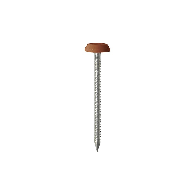 50 x 3.2 Polymer Headed Nails - A4 Stainless Steel - Clay Brown