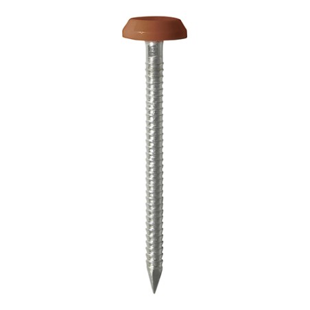 50 x 3.2 Polymer Headed Nails - A4 Stainless Steel - Clay Brown