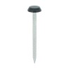 50 x 3.2 Polymer Headed Nails - A4 Stainless Steel - Black
