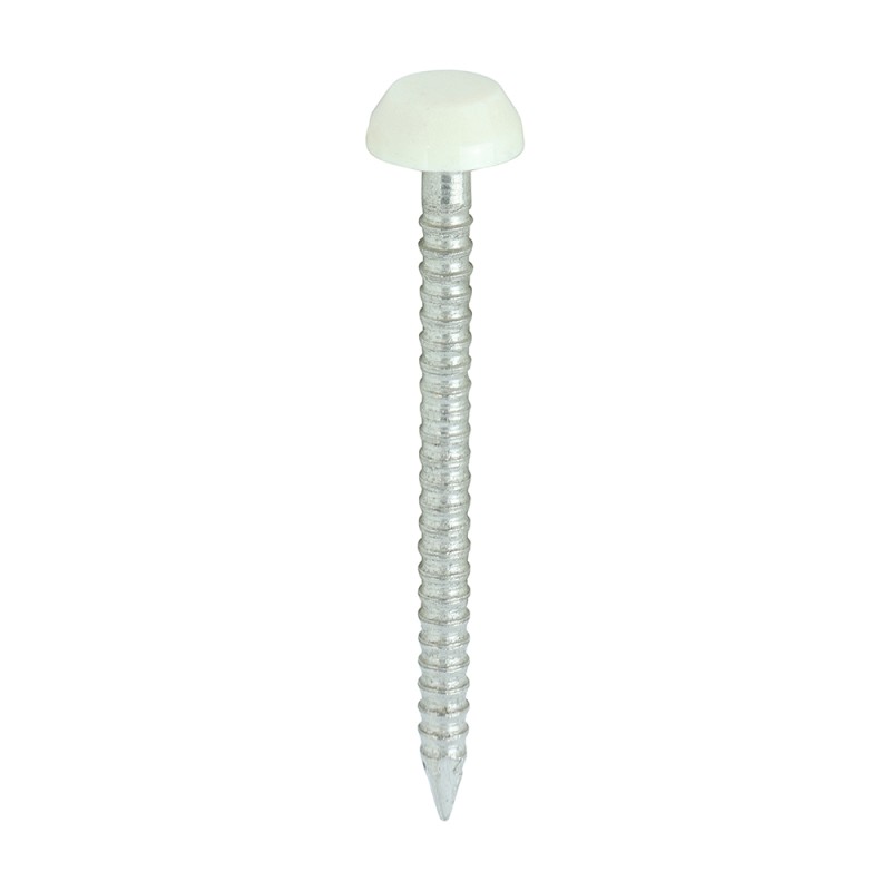 50 x 3.2 Polymer Headed Nails - A4 Stainless Steel - Cream
