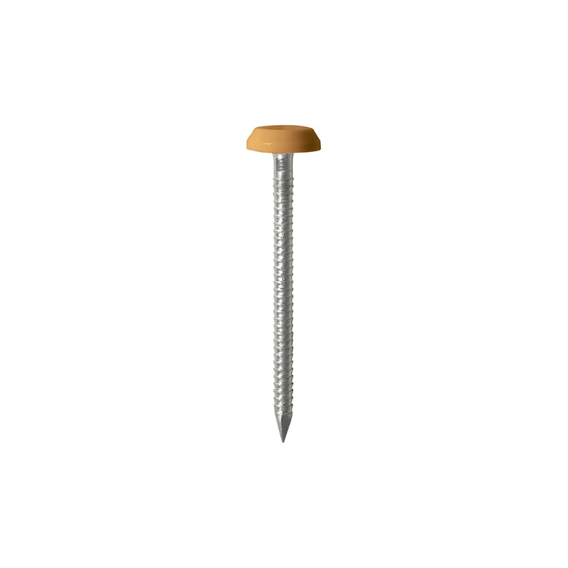 50 x 3.2 Polymer Headed Nails - A4 Stainless Steel - Oak