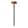 65 X 3.2 Polymer Headed Nails - A4 Stainless Steel - Clay Brown