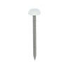 65 X 3.2 Polymer Headed Nails - A4 Stainless Steel - White